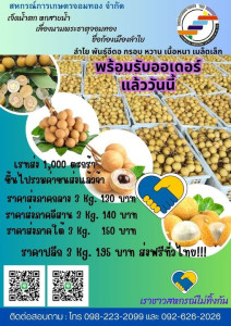 ประชาสัมพันธ์การจำหน่ายลำไยพันธุ์อีดอของสหกรณ์การเกษตรจอมทอง จำกัด จังหวัดเชียงใหม่ ลำไยพันธุ์อีดอ ... พารามิเตอร์รูปภาพ 1