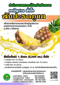 แจ้งประชาสัมพันธ์มายังสหกรณ์/กลุ่มเกษตรกรที่มีความสนใจสั่งซื้อสับปะรดภูแล จังหวัดเชียงราย ... พารามิเตอร์รูปภาพ 1