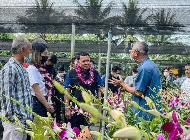 ลงพื้นที่ตรวจราชการ พารามิเตอร์รูปภาพ 3